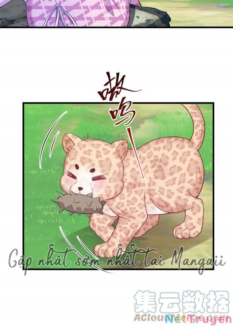 đọc truyện Thảnh Thơi Thú Thế Chủng Chủng Điền, Sinh Sinh Tể Chương 375 ảnh 10 tại Thiên Thai Truyện