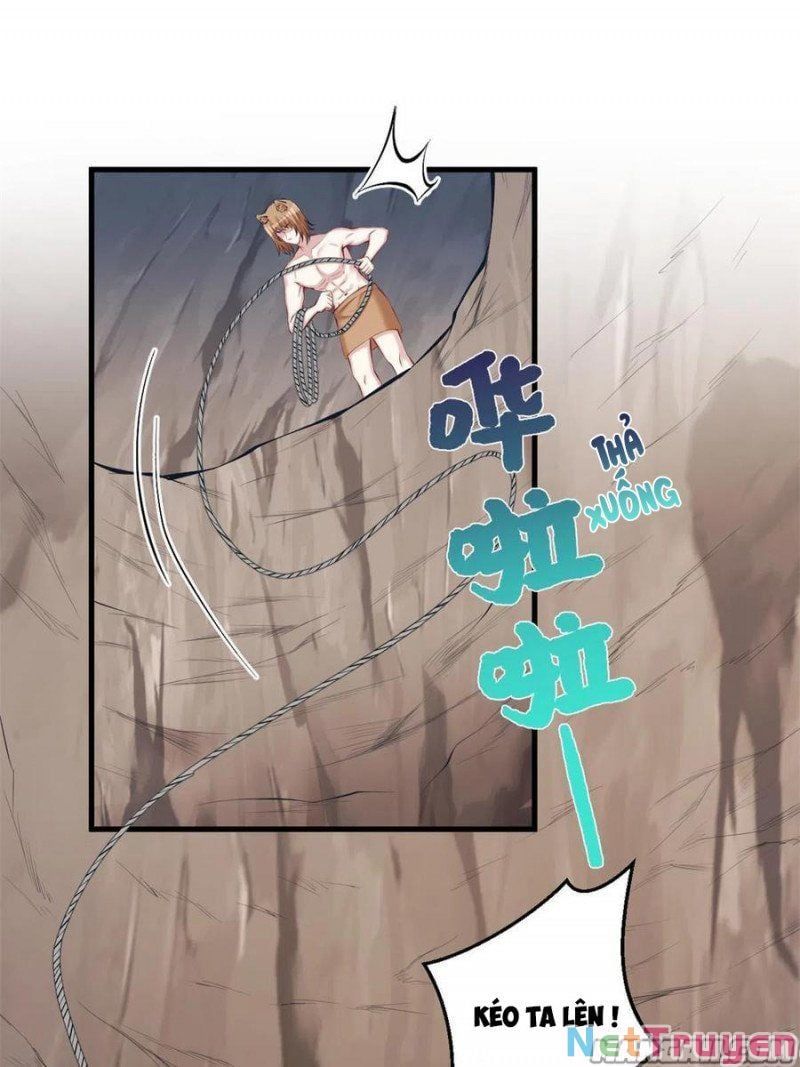 đọc truyện Thảnh Thơi Thú Thế Chủng Chủng Điền, Sinh Sinh Tể Chương 378 ảnh 4 tại Thiên Thai Truyện