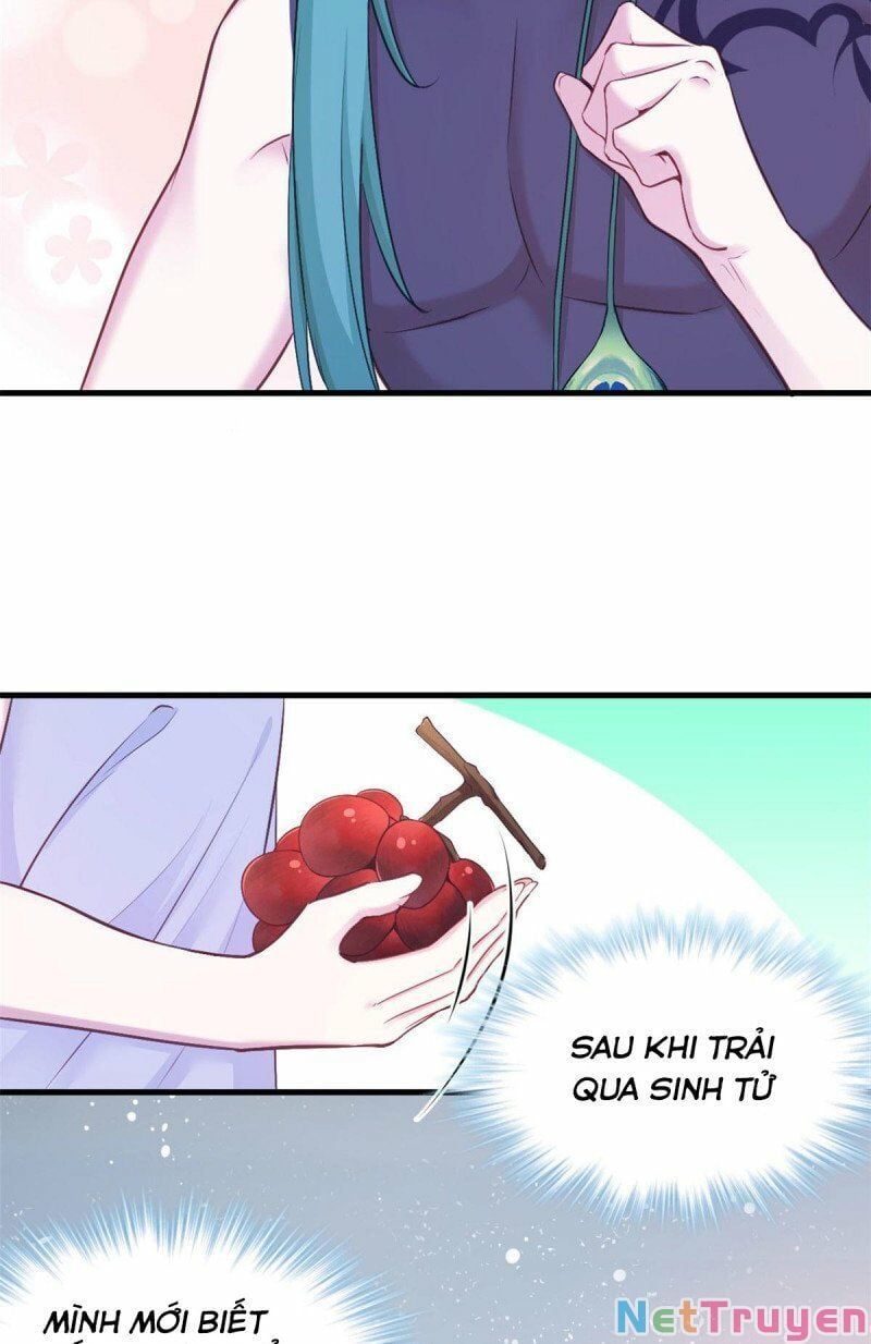 đọc truyện Thảnh Thơi Thú Thế Chủng Chủng Điền, Sinh Sinh Tể Chương 394 ảnh 7 tại Thiên Thai Truyện