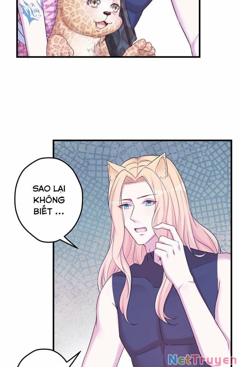 đọc truyện Thảnh Thơi Thú Thế Chủng Chủng Điền, Sinh Sinh Tể Chương 399 ảnh 10 tại Thiên Thai Truyện