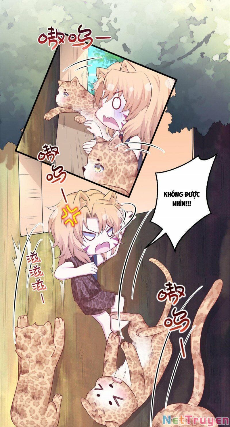 đọc truyện Thảnh Thơi Thú Thế Chủng Chủng Điền, Sinh Sinh Tể Chương 413 ảnh 9 tại Thiên Thai Truyện