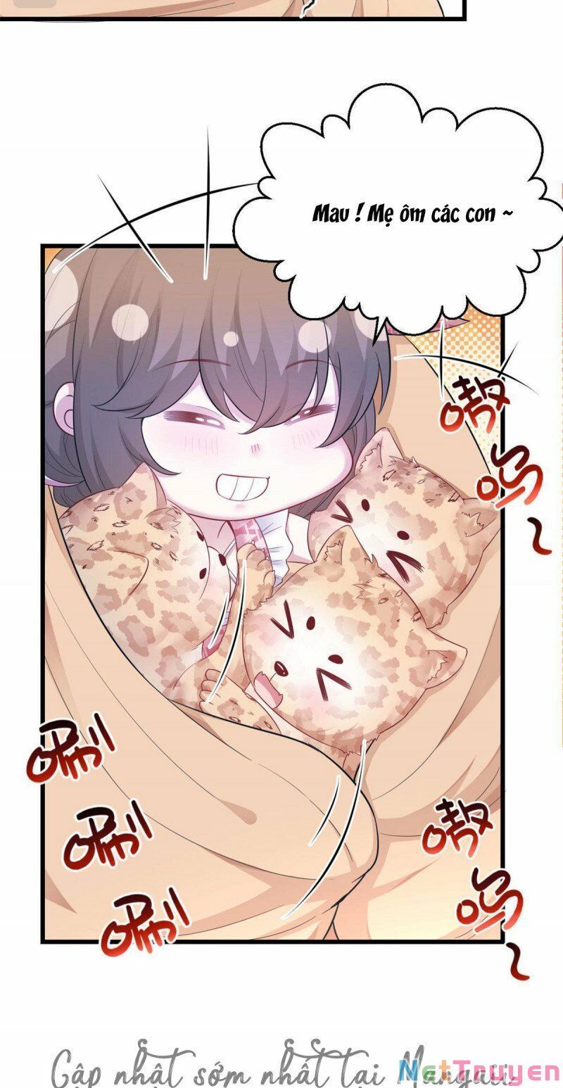 đọc truyện Thảnh Thơi Thú Thế Chủng Chủng Điền, Sinh Sinh Tể Chương 423 ảnh 5 tại Thiên Thai Truyện