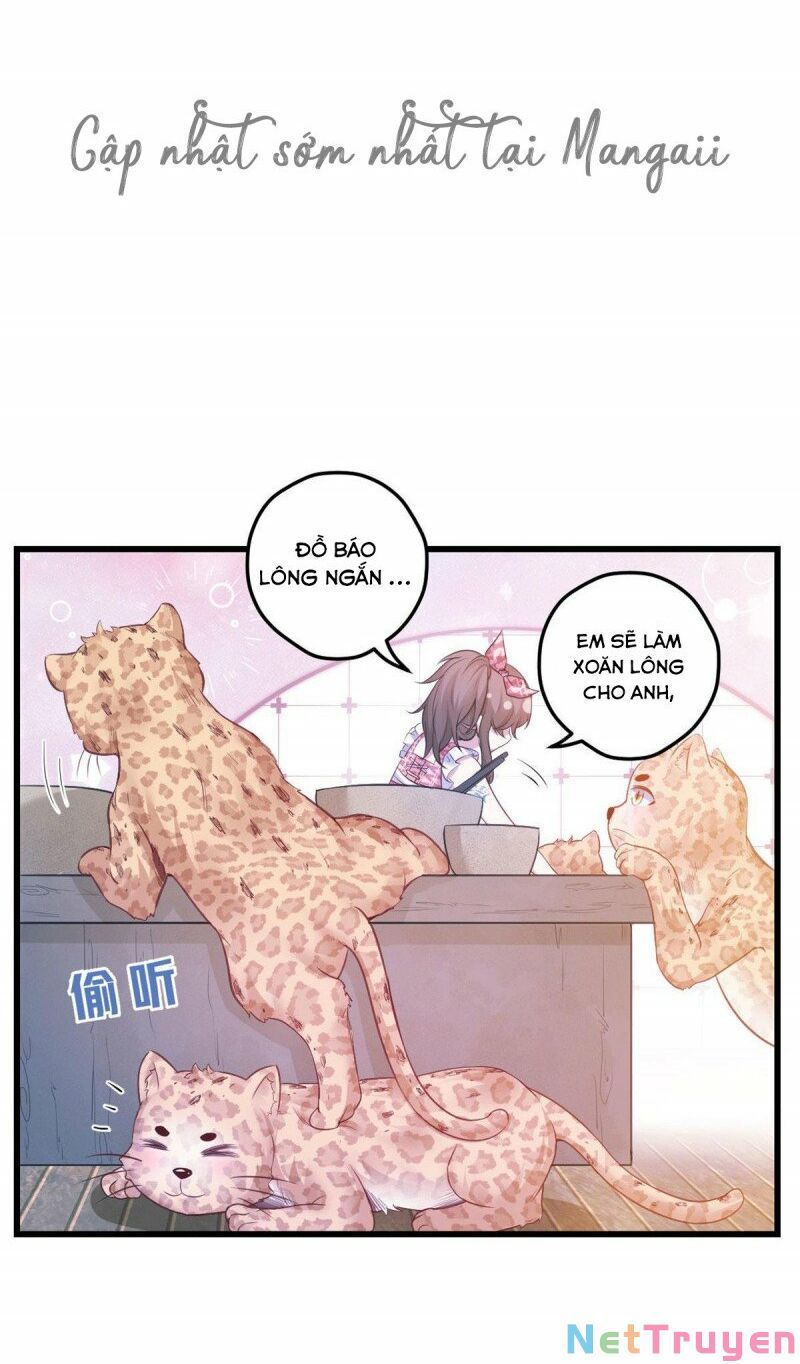 đọc truyện Thảnh Thơi Thú Thế Chủng Chủng Điền, Sinh Sinh Tể Chương 424 ảnh 14 tại Thiên Thai Truyện