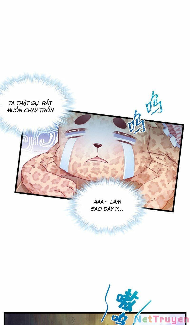 đọc truyện Thảnh Thơi Thú Thế Chủng Chủng Điền, Sinh Sinh Tể Chương 424 ảnh 17 tại Thiên Thai Truyện