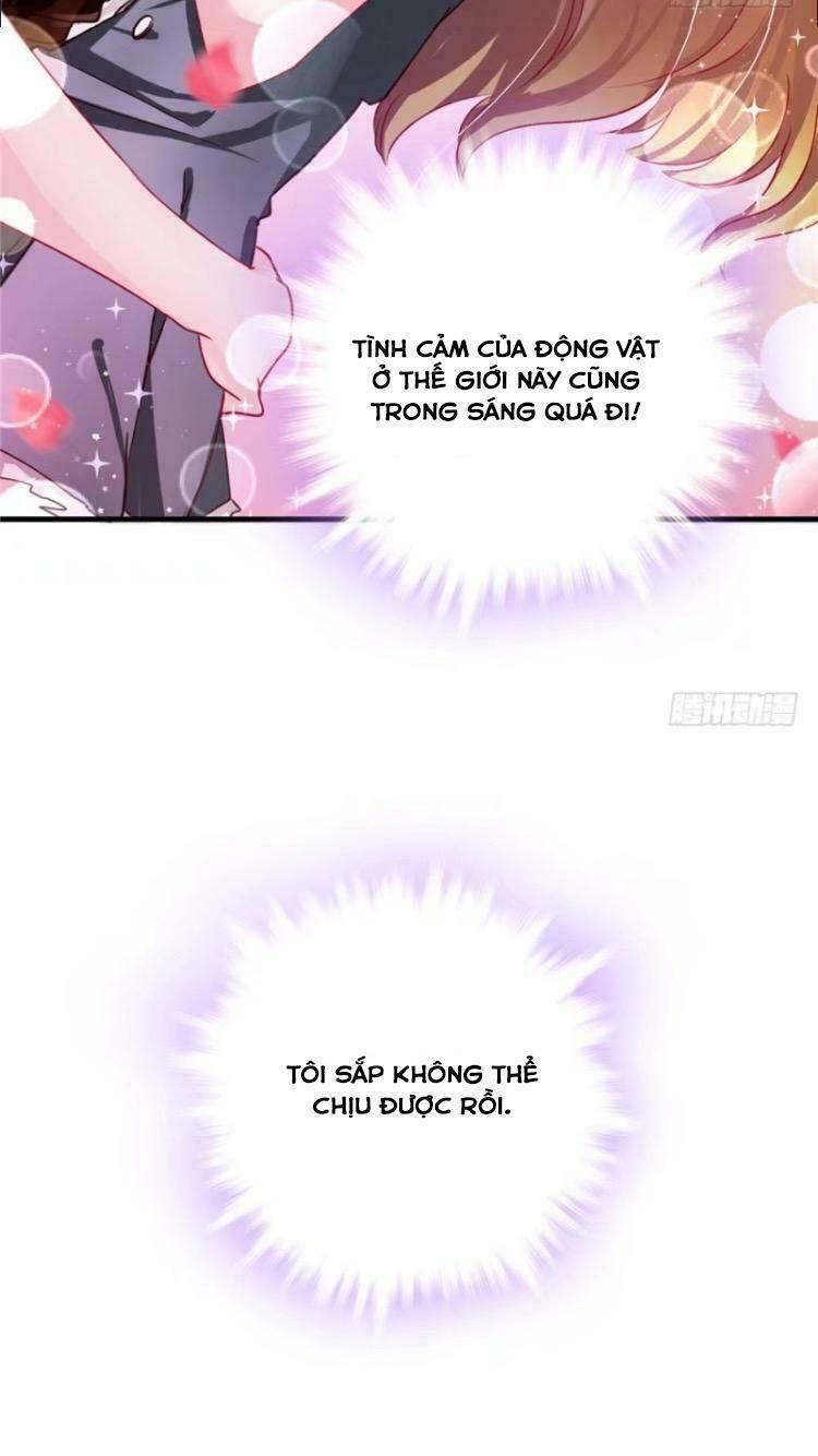 đọc truyện Thảnh Thơi Thú Thế Chủng Chủng Điền, Sinh Sinh Tể Chương 6 ảnh 30 tại Thiên Thai Truyện