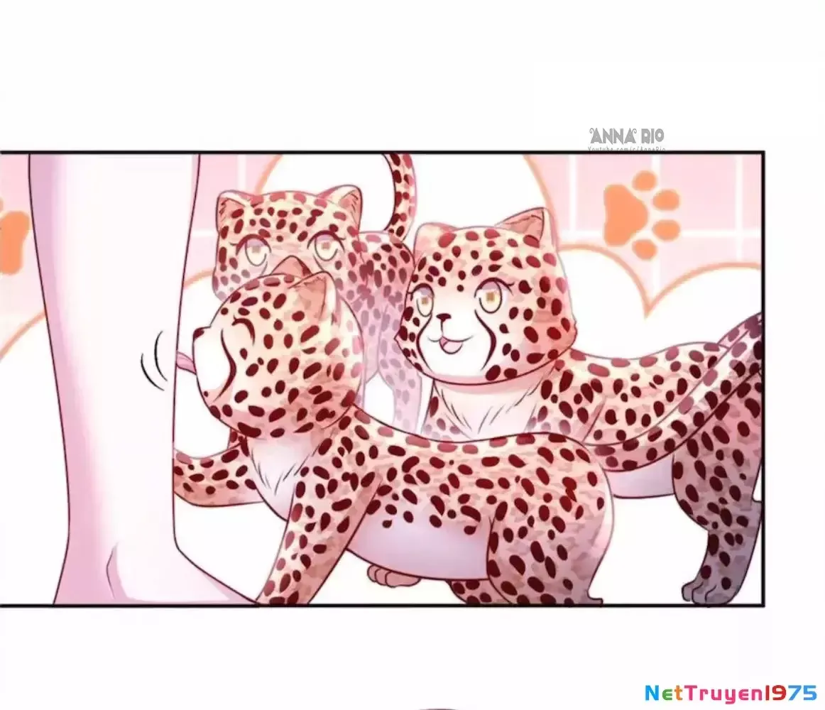 đọc truyện Thảnh Thơi Thú Thế Chủng Chủng Điền, Sinh Sinh Tể Chương 718 ảnh 12 tại Thiên Thai Truyện