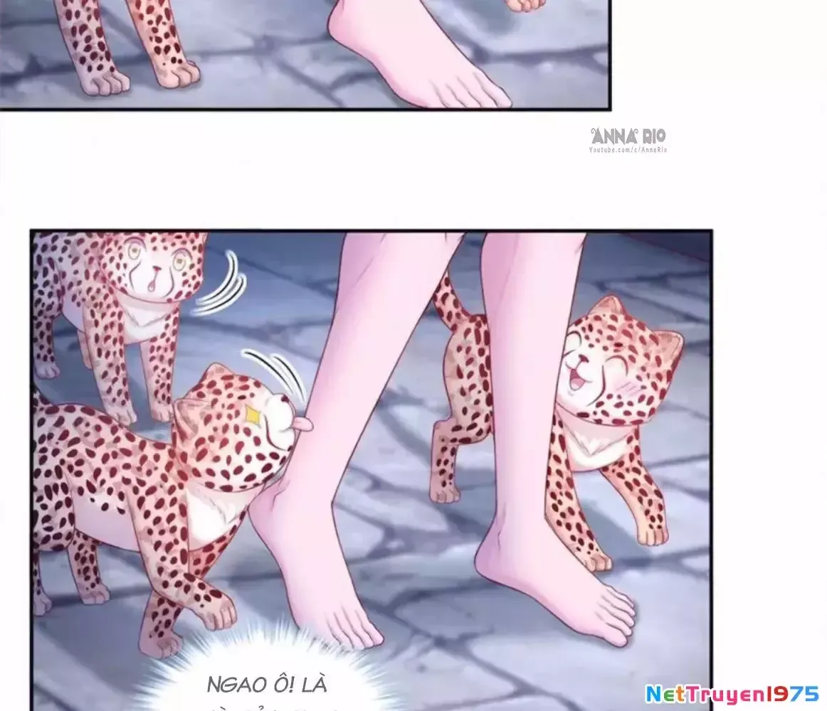 đọc truyện Thảnh Thơi Thú Thế Chủng Chủng Điền, Sinh Sinh Tể Chương 718 ảnh 16 tại Thiên Thai Truyện