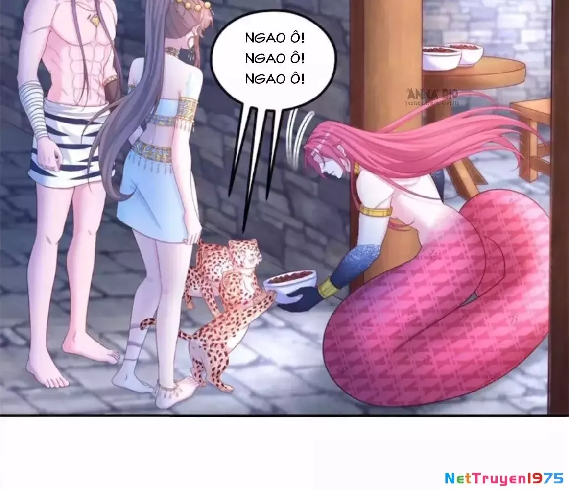 đọc truyện Thảnh Thơi Thú Thế Chủng Chủng Điền, Sinh Sinh Tể Chương 718 ảnh 24 tại Thiên Thai Truyện