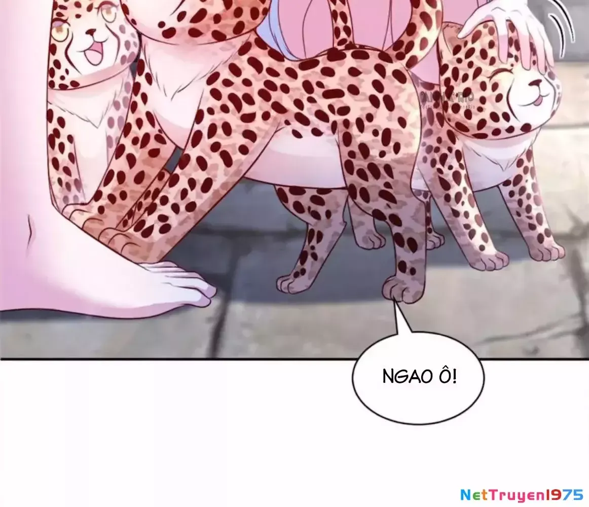 đọc truyện Thảnh Thơi Thú Thế Chủng Chủng Điền, Sinh Sinh Tể Chương 718 ảnh 11 tại Thiên Thai Truyện