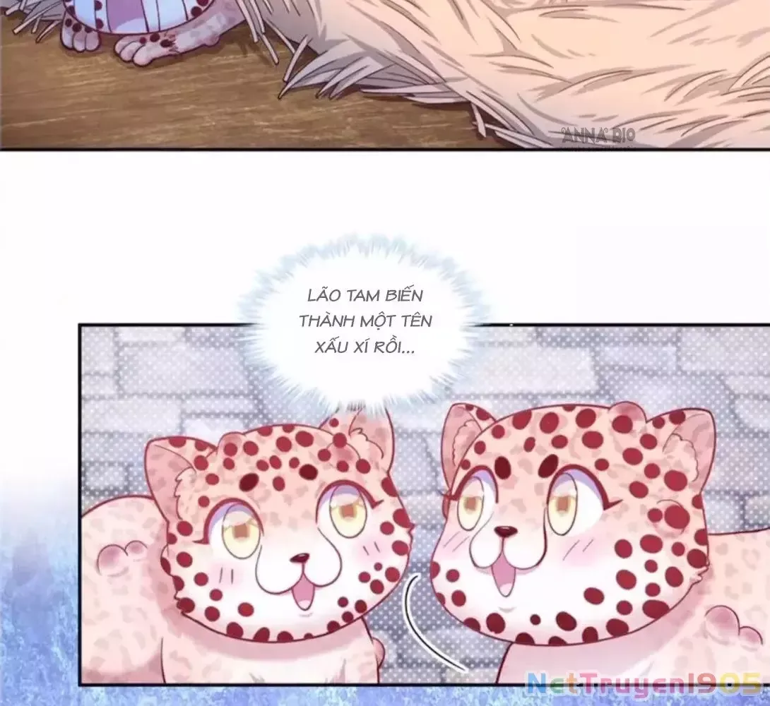 đọc truyện Thảnh Thơi Thú Thế Chủng Chủng Điền, Sinh Sinh Tể Chương 723 ảnh 12 tại Thiên Thai Truyện