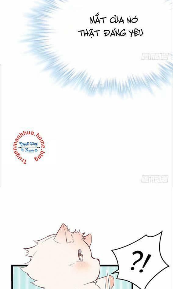 đọc truyện Thảnh Thơi Thú Thế Chủng Chủng Điền, Sinh Sinh Tể Chương 74 ảnh 11 tại Thiên Thai Truyện