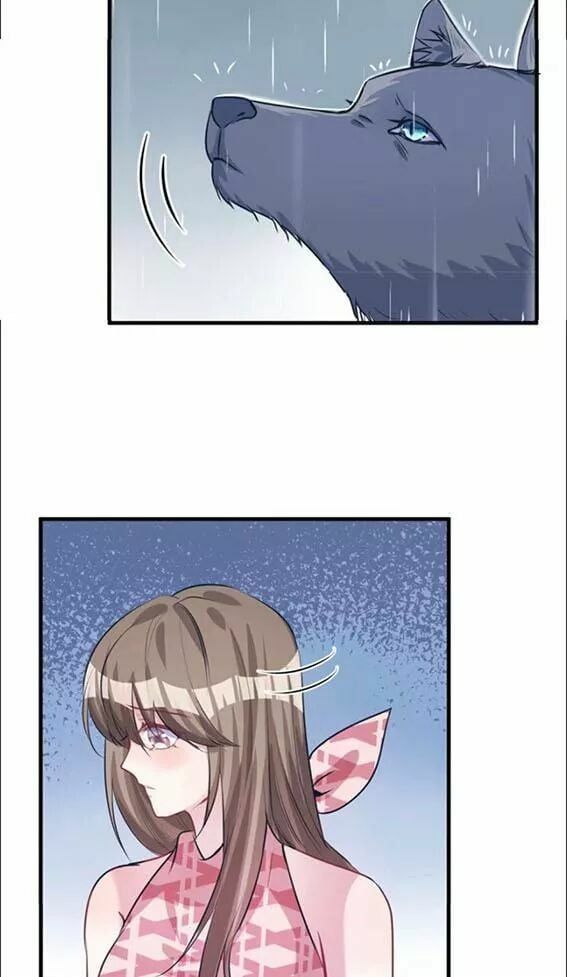 đọc truyện Thảnh Thơi Thú Thế Chủng Chủng Điền, Sinh Sinh Tể Chương 88 ảnh 15 tại Thiên Thai Truyện