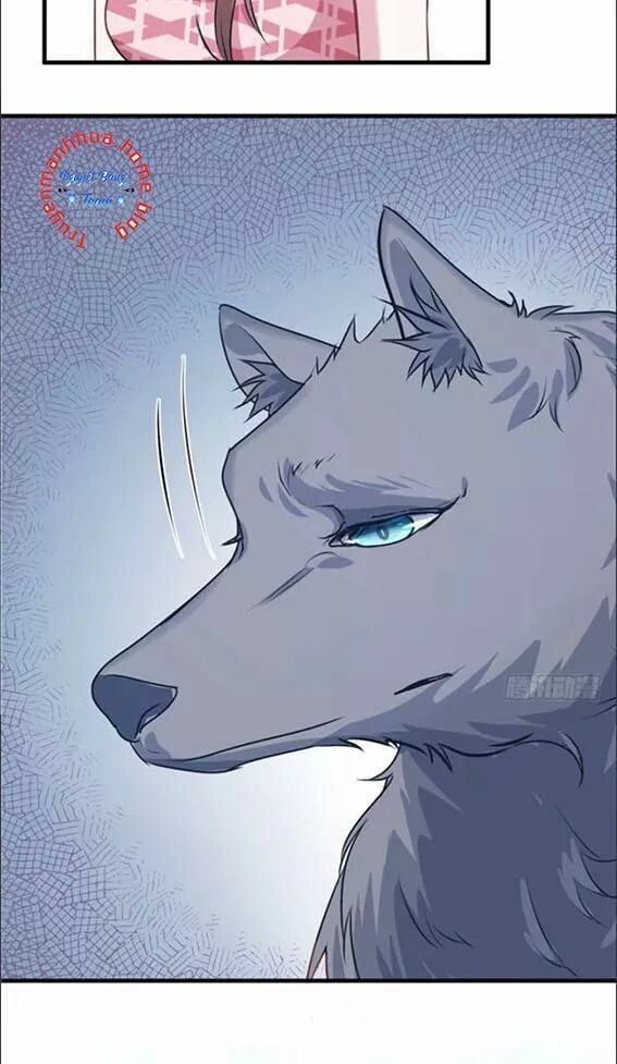 đọc truyện Thảnh Thơi Thú Thế Chủng Chủng Điền, Sinh Sinh Tể Chương 88 ảnh 16 tại Thiên Thai Truyện