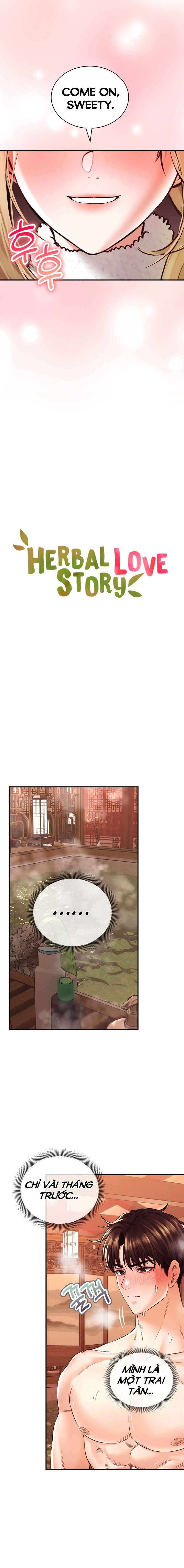 Thảo Dược Mê Tình Chương 40 page 3 - Giả Dược