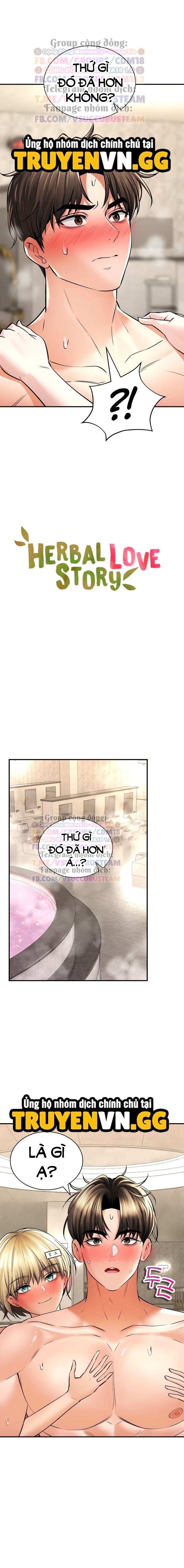 Thảo Dược Mê Tình Chương 50 page 3 - Giả Dược