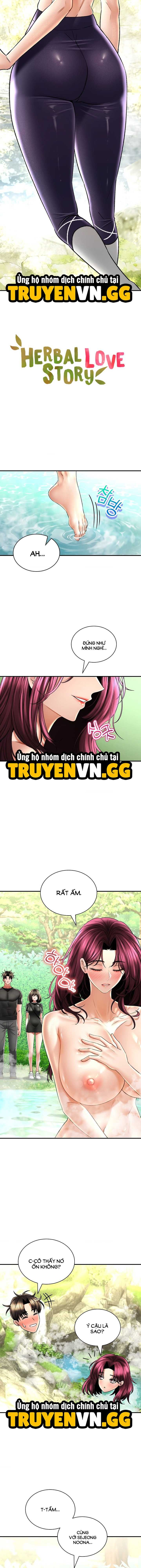 Thảo Dược Mê Tình Chương 62 page 3 - Giả Dược