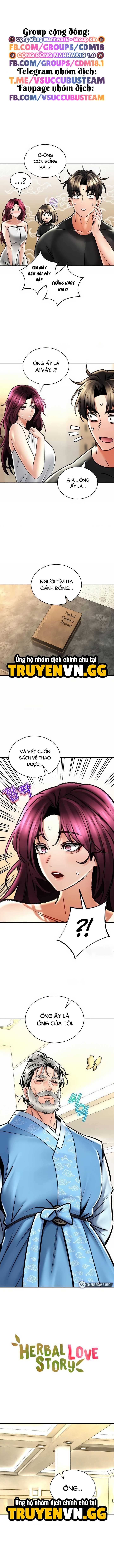 Thảo Dược Mê Tình Chương 67 page 2 - Giả Dược