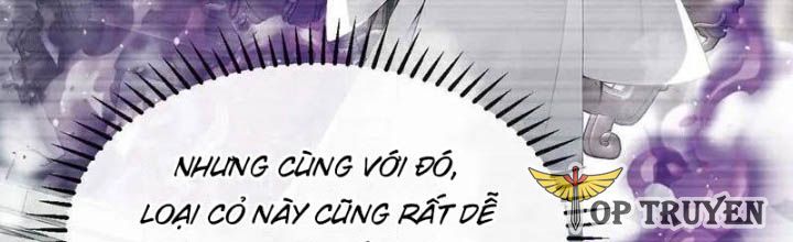 đọc truyện Thập Đại Đế Hoàng Đều Là Đệ Tử Của Ta Chương 394 ảnh 4 tại Thiên Thai Truyện
