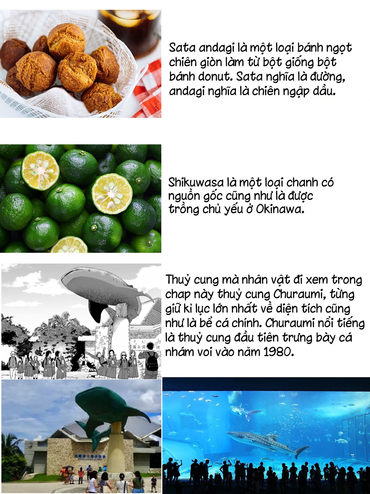 đọc truyện The Blue Star On That Day Chương 16 ảnh 40 tại Thiên Thai Truyện