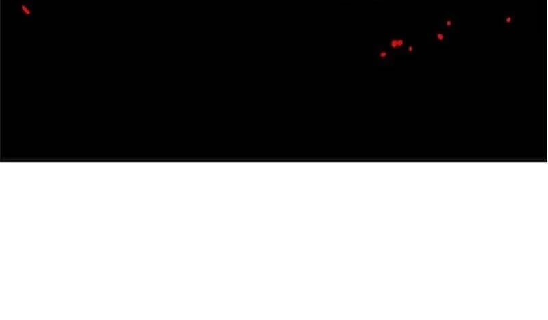 đọc truyện The Dungeon Master Chương 121 ảnh 42 tại Thiên Thai Truyện