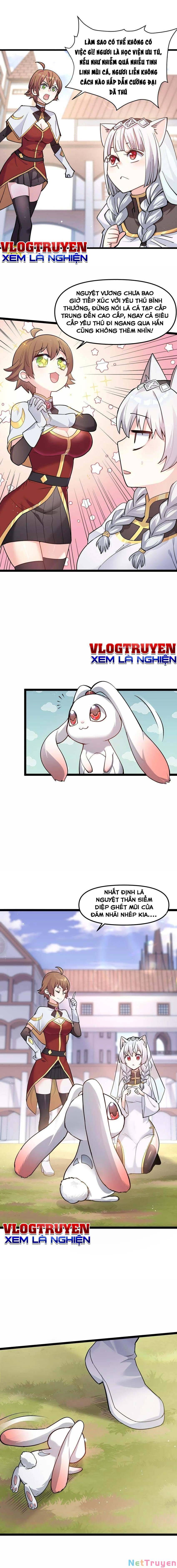 đọc truyện Thế Nhân Thực Sự Tin Tôi Là Đại Boss Chương 1 ảnh 14 tại Thiên Thai Truyện