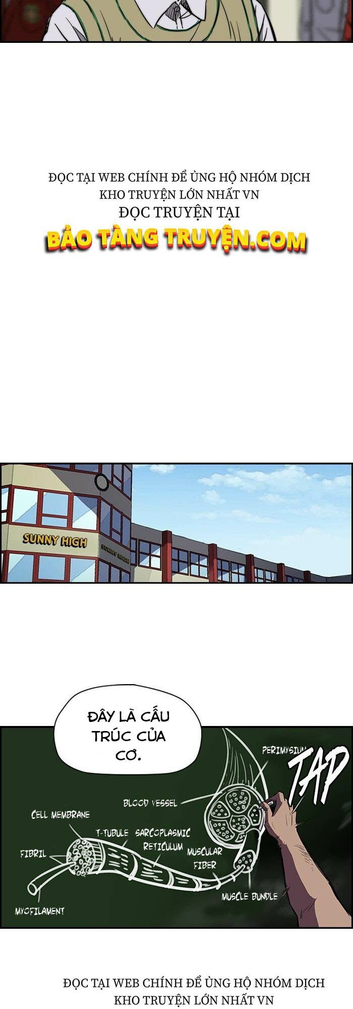 đọc truyện Thể Thao Cực Hạn Chương 138 ảnh 22 tại Truyện Dạ Ký