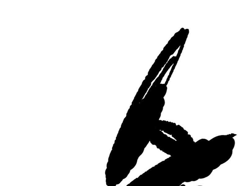 đọc truyện Thể Thao Cực Hạn Chương 459.5 ảnh 12 tại Thiên Thai Truyện