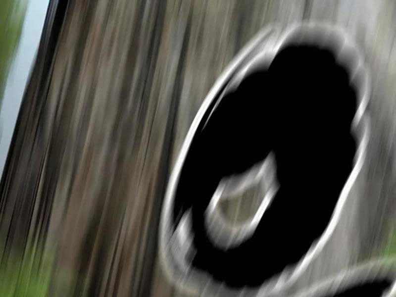 đọc truyện Thể Thao Cực Hạn Chương 459.5 ảnh 89 tại Thiên Thai Truyện