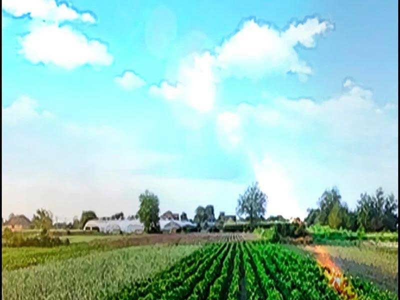 đọc truyện Thể Thao Cực Hạn Chương 463.5 ảnh 27 tại Thiên Thai Truyện