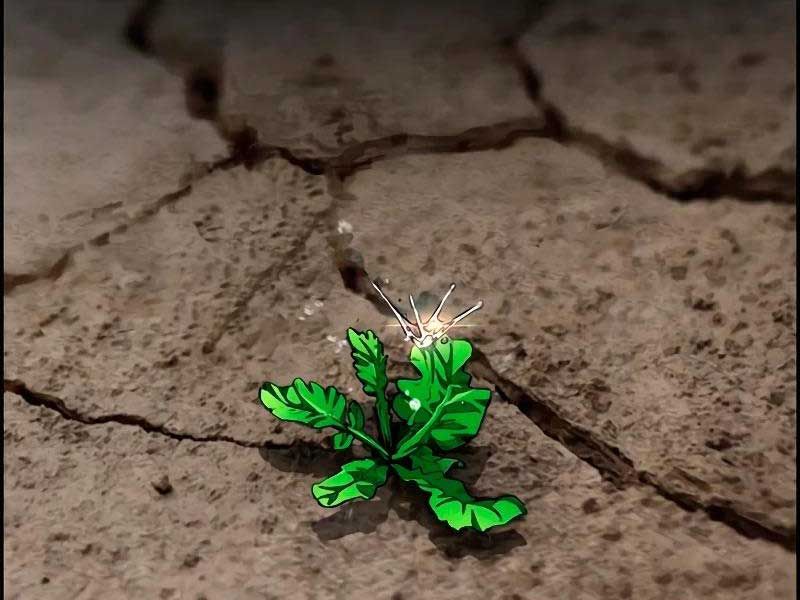 đọc truyện Thể Thao Cực Hạn Chương 463.5 ảnh 36 tại Thiên Thai Truyện