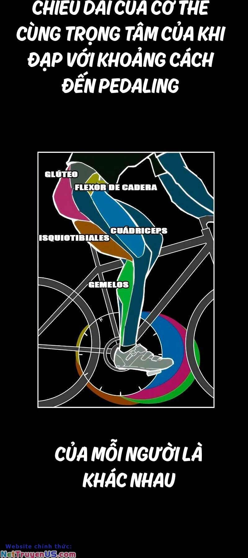 đọc truyện Thể Thao Cực Hạn Chương 464 ảnh 61 tại Thiên Thai Truyện