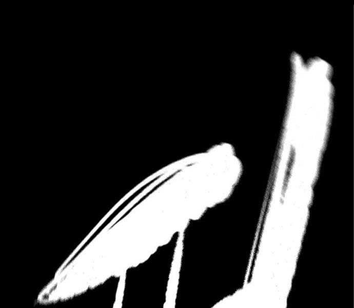 đọc truyện Thể Thao Cực Hạn Chương 474 ảnh 173 tại Thiên Thai Truyện