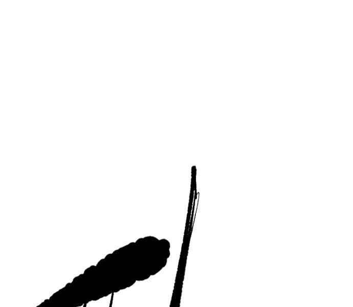 đọc truyện Thể Thao Cực Hạn Chương 482 ảnh 27 tại Thiên Thai Truyện