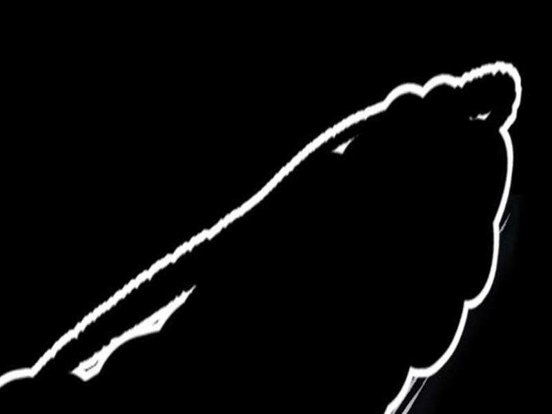 đọc truyện Thể Thao Cực Hạn Chương 492.5 ảnh 219 tại Thiên Thai Truyện