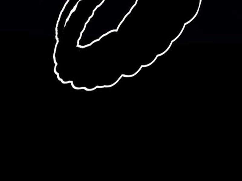 đọc truyện Thể Thao Cực Hạn Chương 492.5 ảnh 228 tại Thiên Thai Truyện