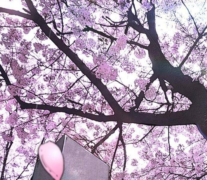 đọc truyện Thể Thao Cực Hạn Chương 496.5 ảnh 4 tại Thiên Thai Truyện