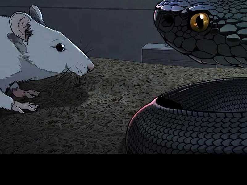 đọc truyện Thể Thao Cực Hạn Chương 524 ảnh 333 tại Thiên Thai Truyện