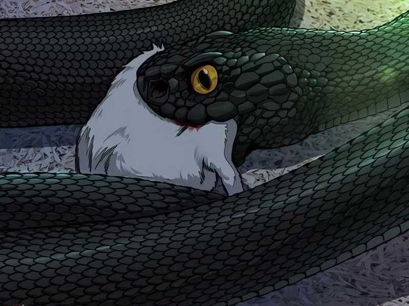 đọc truyện Thể Thao Cực Hạn Chương 524 ảnh 336 tại Thiên Thai Truyện