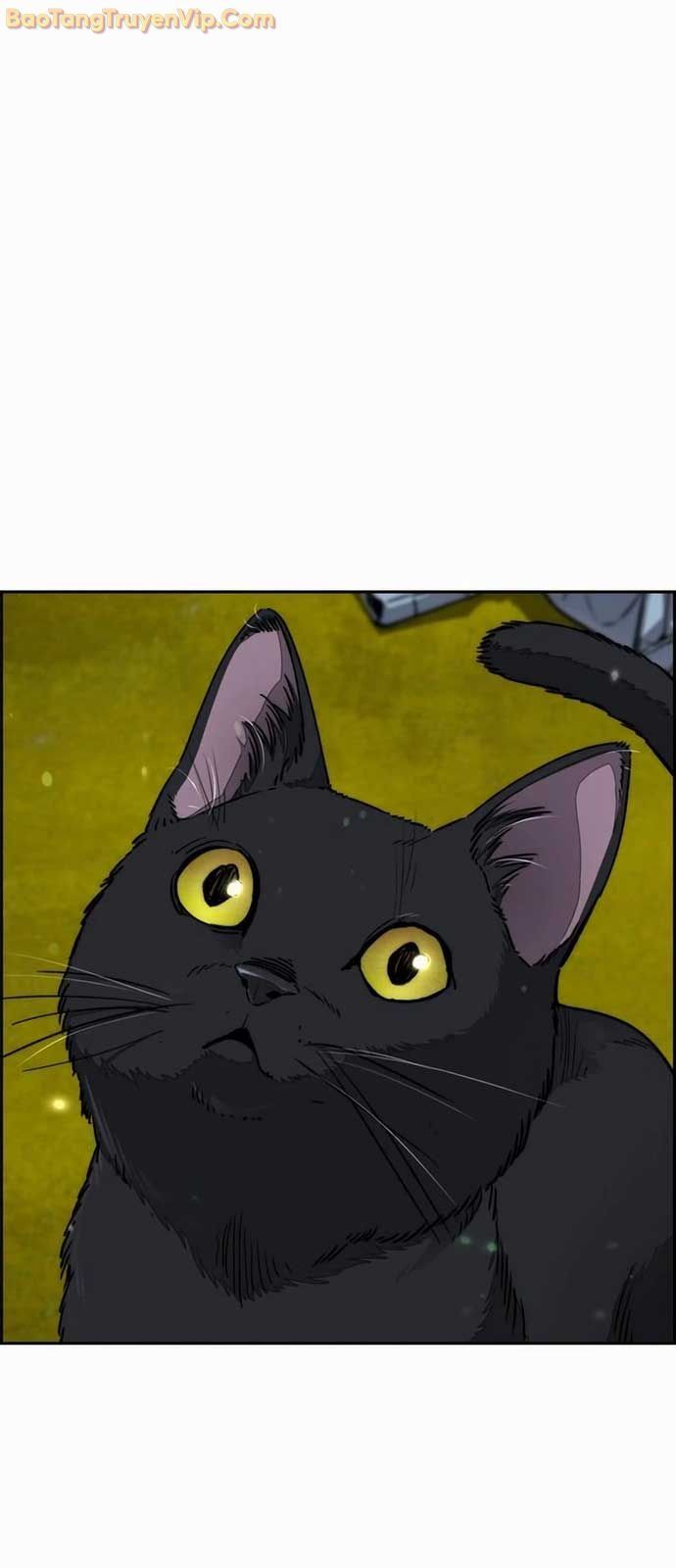 đọc truyện Thể Thao Cực Hạn Chương 549 ảnh 90 tại Thiên Thai Truyện