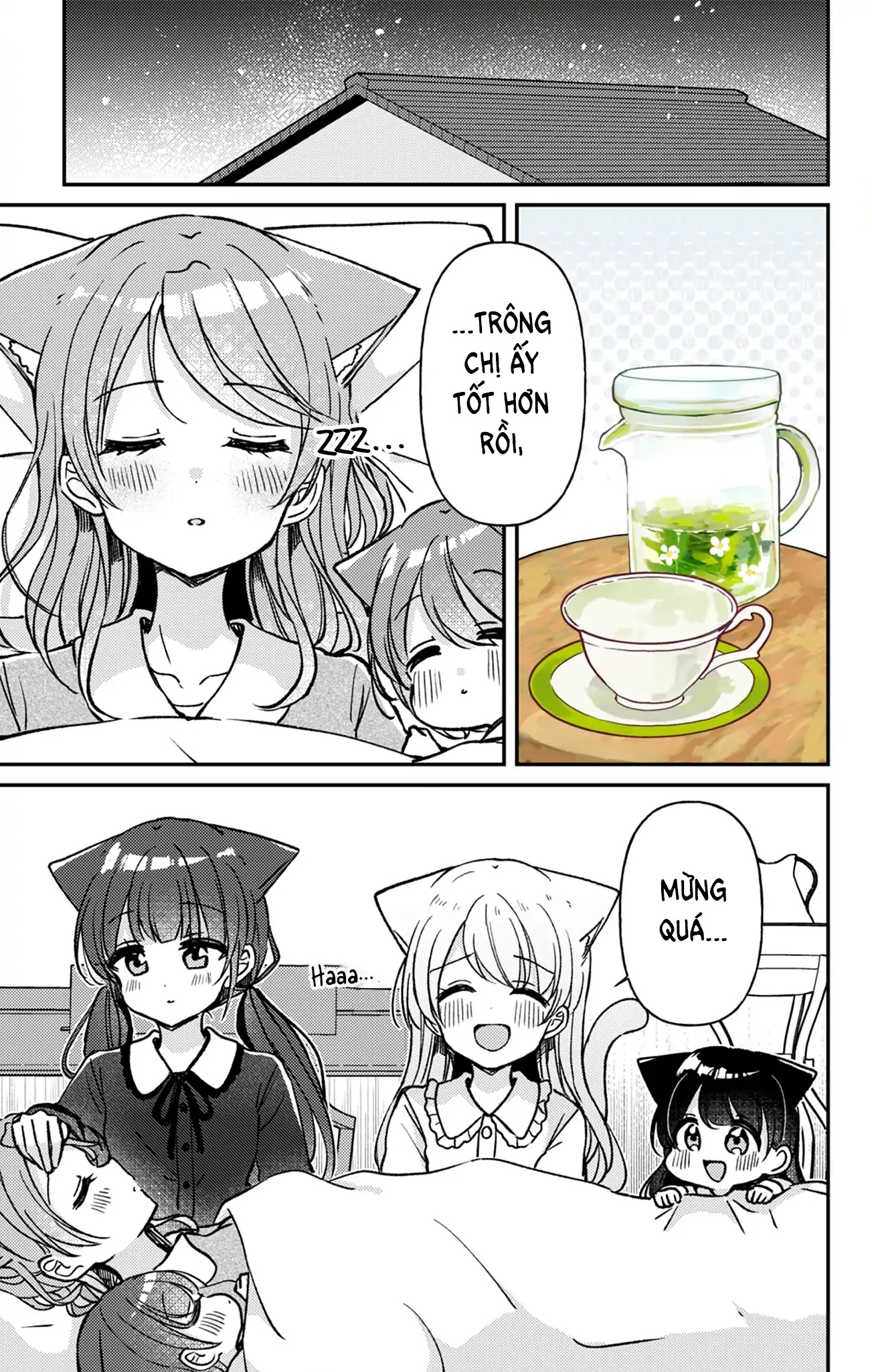 đọc truyện Thị Trấn Mèo Bí Ẩn Chương 15 ảnh 23 tại Thiên Thai Truyện