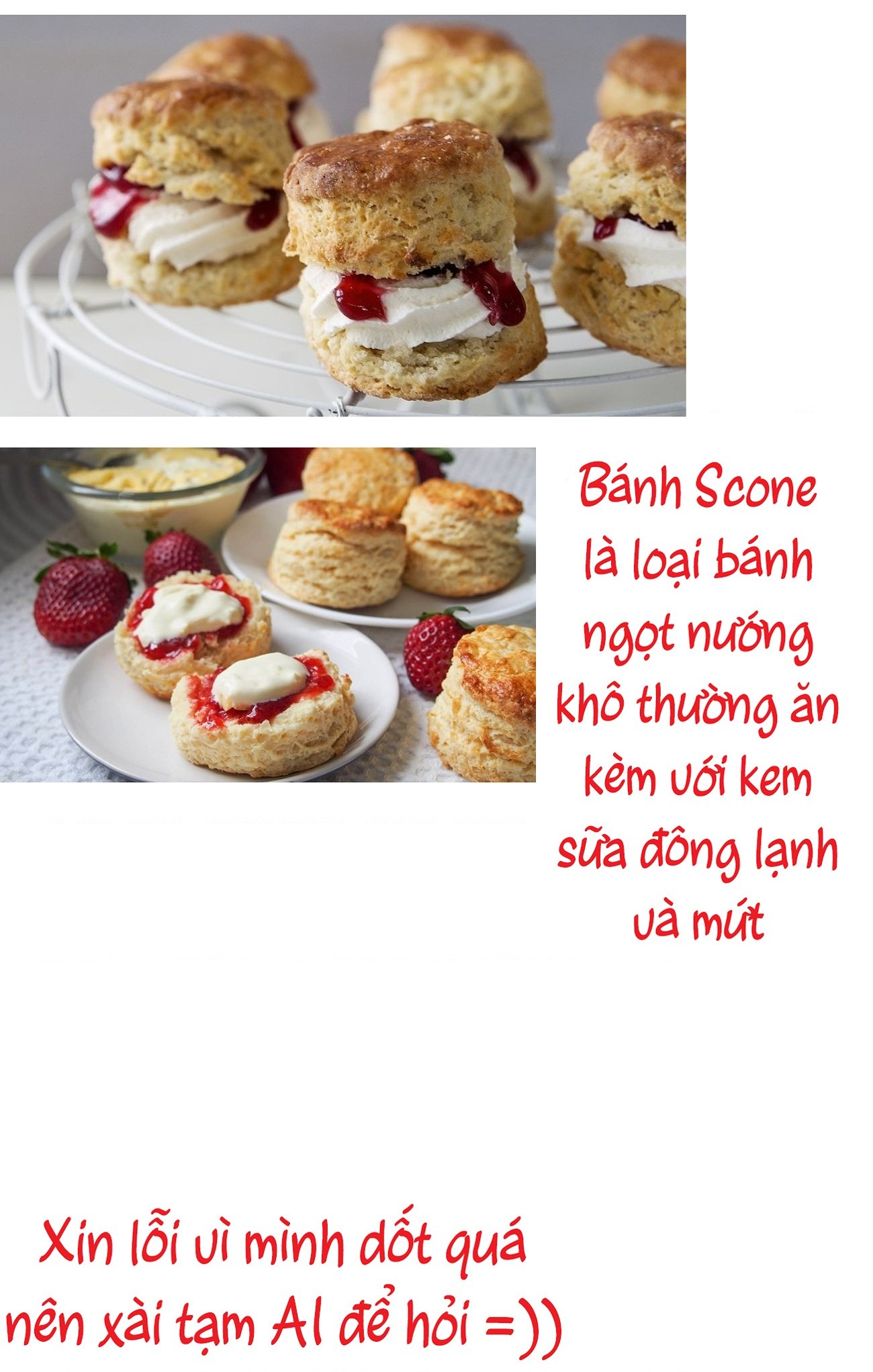 đọc truyện Thị Trấn Mèo Bí Ẩn Chương 21 ảnh 28 tại Thiên Thai Truyện