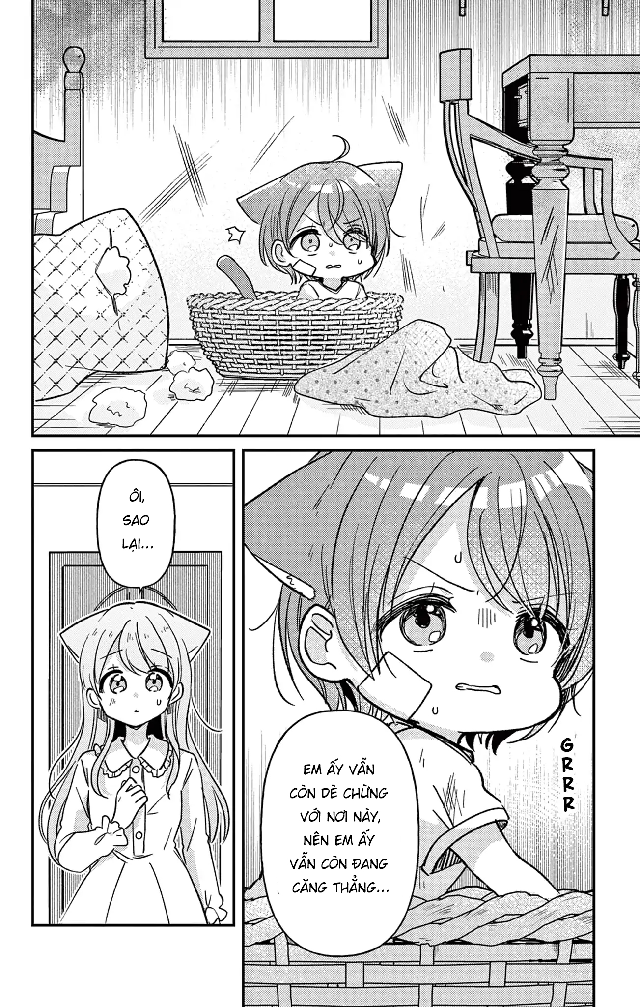 đọc truyện Thị Trấn Mèo Bí Ẩn Chương 8 ảnh 9 tại Thiên Thai Truyện