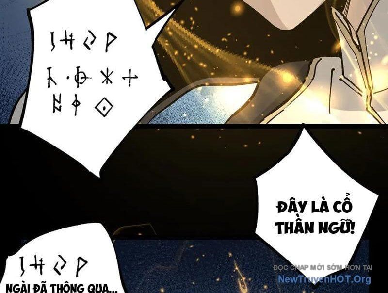 đọc truyện Thích Khách Thần Cấp, Ta Chính Là Bóng Đêm Chương 51 ảnh 65 tại Thiên Thai Truyện