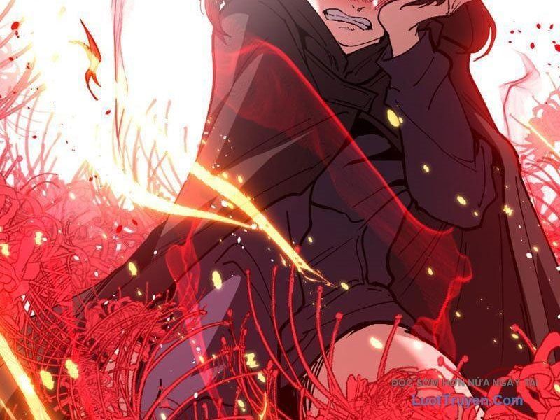 đọc truyện Thích Khách Thần Cấp, Ta Chính Là Bóng Đêm Chương 70 ảnh 13 tại Thiên Thai Truyện