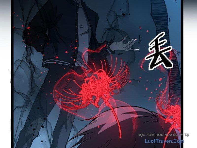 đọc truyện Thích Khách Thần Cấp, Ta Chính Là Bóng Đêm Chương 70 ảnh 7 tại Thiên Thai Truyện