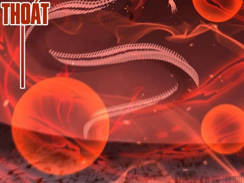 đọc truyện Thích Khách Thần Cấp, Ta Chính Là Bóng Đêm Chương 77 ảnh 82 tại Thiên Thai Truyện