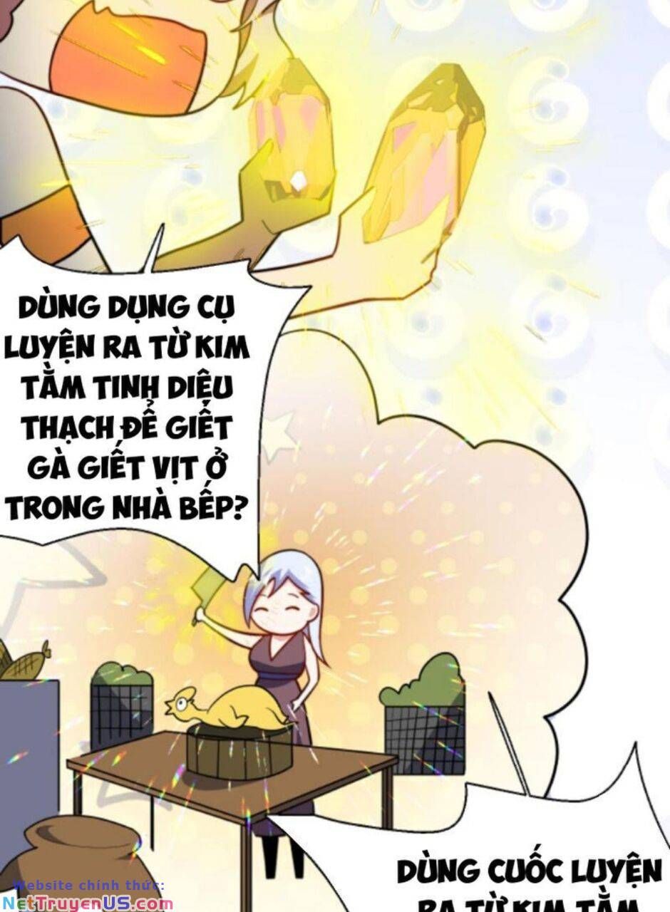 đọc truyện Thiên Khải Bại Gia Chương 106 ảnh 4 tại Giả Dược