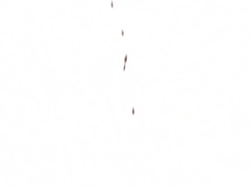 đọc truyện Thiên Ma Phi Thăng Truyện Chương 16.5 ảnh 11 tại Thiên Thai Truyện