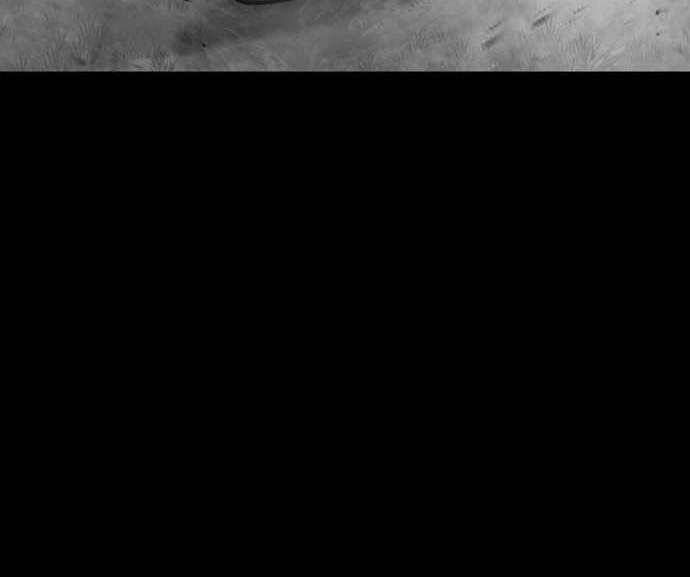 đọc truyện Thiên Ma Phi Thăng Truyện Chương 48 ảnh 127 tại Thiên Thai Truyện