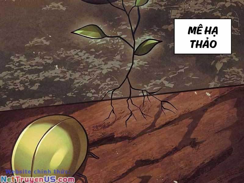 đọc truyện Thiên Qua Thư Khố Đại Công Tử Chương 41 ảnh 84 tại Thiên Thai Truyện